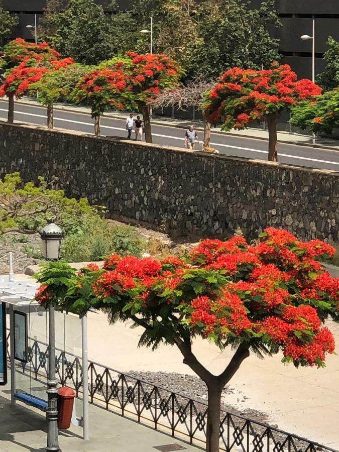 산타크루스데 테네리페 San Sebastian 65 아파트 외부 사진